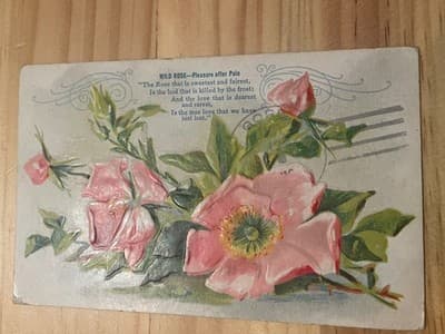 Vintage Embossed Wild Rose Postcard 1910 Mailed Floral With 1c Stamp Postmark - Image 1