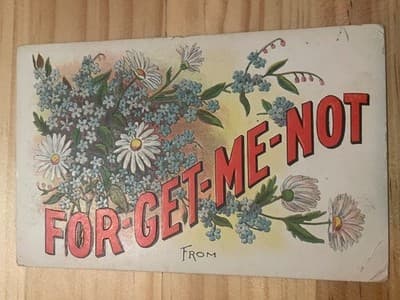 Vintage 1908 Forget-Me-Not Postcard Embossed Floral Handwritten Address Postmark - Image 1