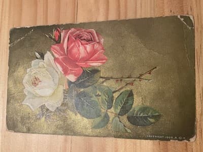 Vintage 1909 Floral Roses Postcard Postmarked Apr 28 1909 Copyright 1909 Green - Image 1