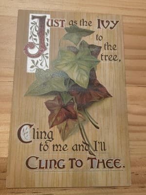 Vintage Embossed Ivy Postcard Printed in Germany Mailed 1c Stamp Handwritten - Image 1