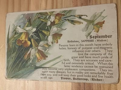 September Birthday Embossed Flower Postcard Buttercup Multicolor Vintage - Image 1