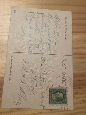 Vintage Embossed Carnation Birthday Postcard Printed in Germany With 1c Stamp - Thumbnail 2