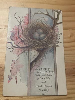 Vintage Birthday Postcard Bird Nest With Eggs Divided Back Printed in Germany - Image 1