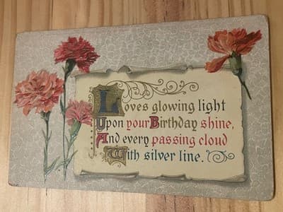 Vintage Embossed Carnation Birthday Postcard Printed in Germany With 1c Stamp - Image 1