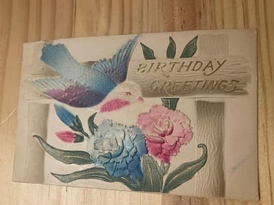 Vintage 1909 Embossed Postcard Birthday Greetings Bird Carnations Postmarked - Image 1