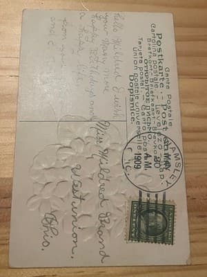 Vintage 1909 Embossed Postcard Birthday Greetings Bird Carnations Postmarked - Thumbnail 2