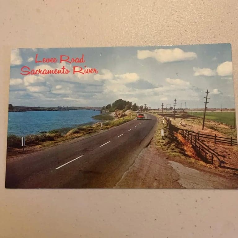 Vintage Sacramento River Levee Road Postcard - Image 1