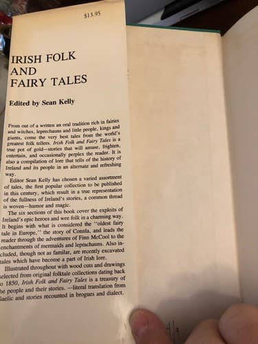 Irish Folk and Fairy Tales - Thumbnail 2