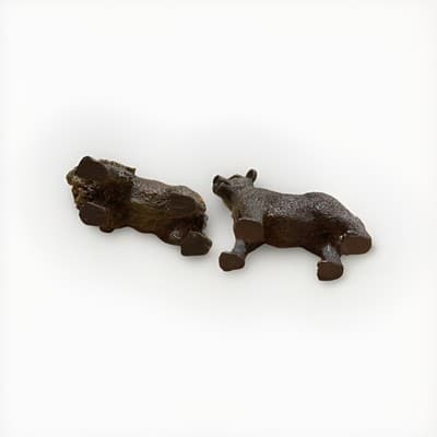 Lion & Bear Resin Figures - Thumbnail 7