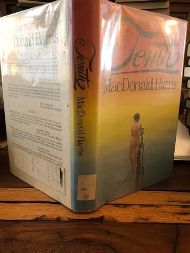 TENTH Macdonald Harris 1st Edition Hardcover Ex Library Reading Copy - Thumbnail 4