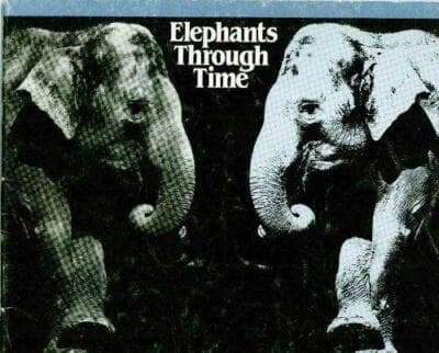 Elephants Through Time [worn. reading copy only] - Image 1
