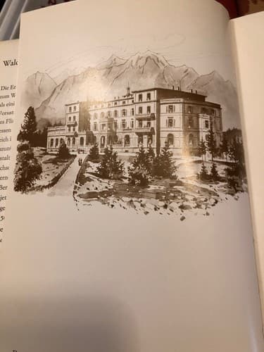 Waldhaus Flims: Geschichte und Geschichten eines Kurhotels (German Edition) - Thumbnail 4
