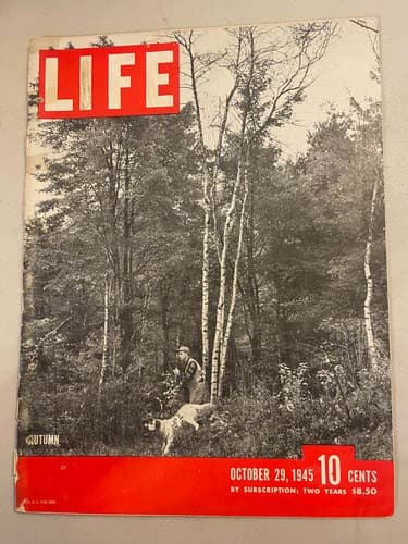 Vintage LIFE Magazine October 29, 1945 Issue - Image 1