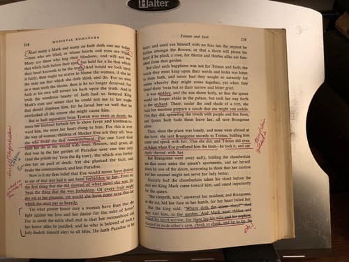 Medieval Romances Edited for Modern Reader Roger Sherman Loomis W/ Marginalia - Thumbnail 8