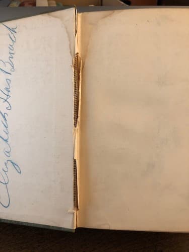 The World-Mender (1916 Appleton) 1st edition Maxwell Gray - Thumbnail 4
