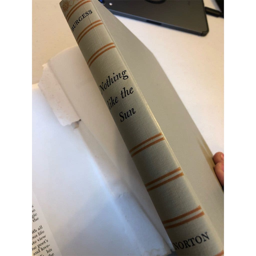 1st edition Nothing Like the Sun by Anthony Burgess Hardcover Historical Fiction - Thumbnail 5