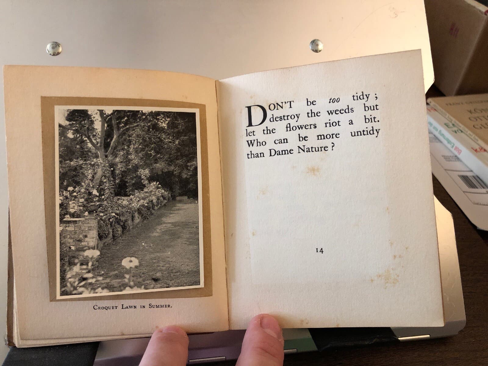 rare GARDENING DON'TS Marrion Chappell 1913 Bickers 17 Photos Hampshire - Thumbnail 6