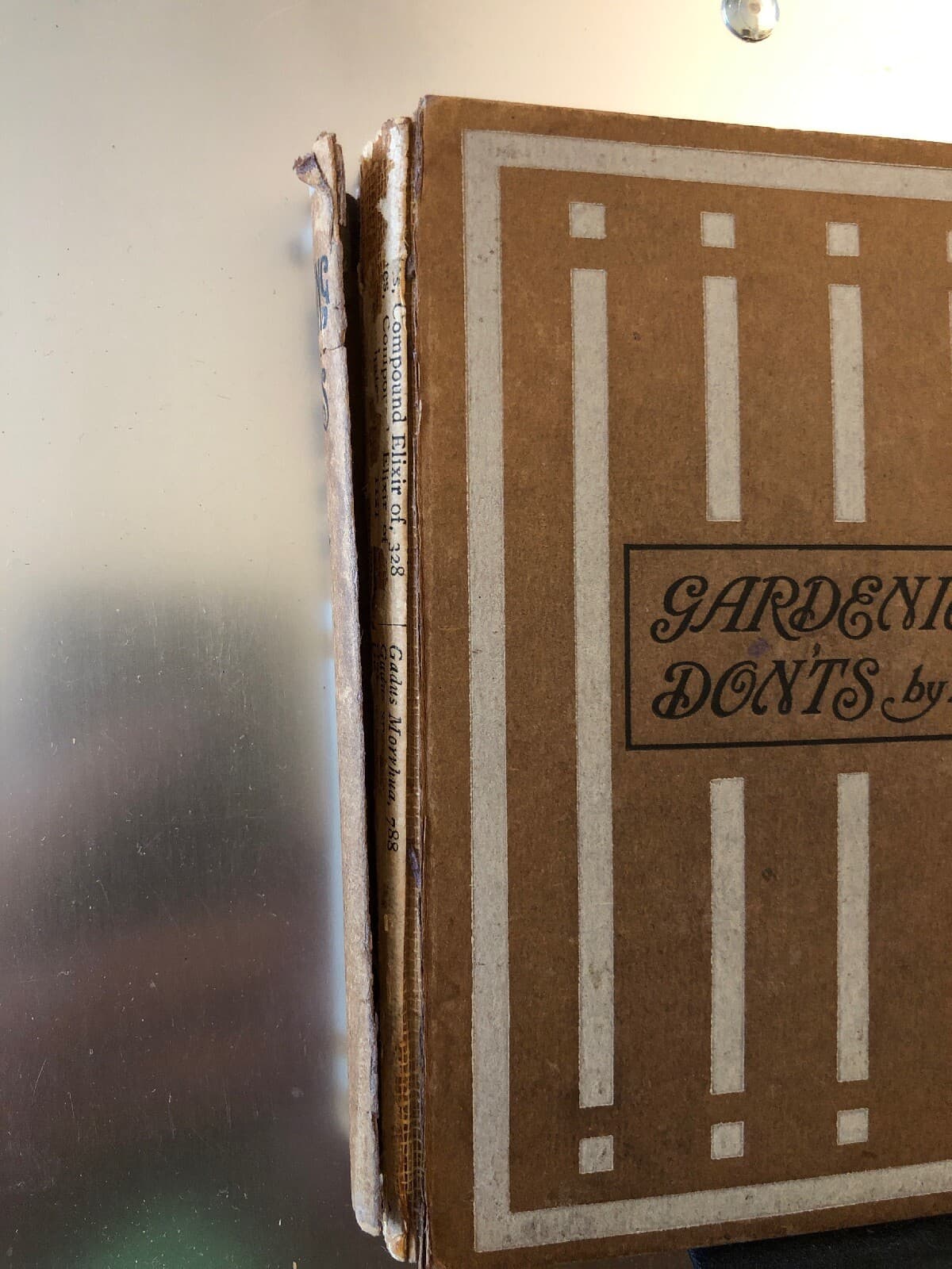 rare GARDENING DON'TS Marrion Chappell 1913 Bickers 17 Photos Hampshire - Thumbnail 3