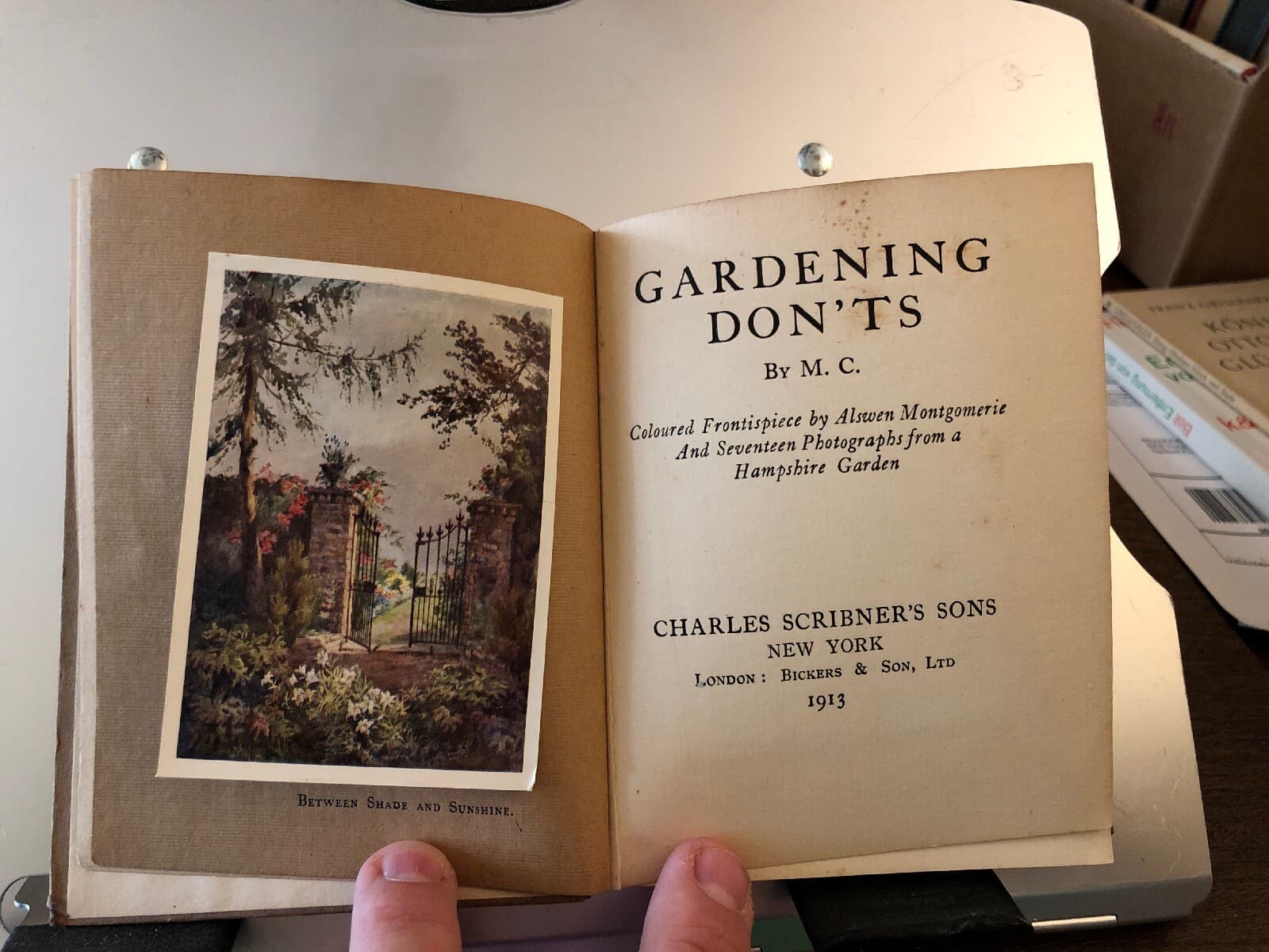 rare GARDENING DON'TS Marrion Chappell 1913 Bickers 17 Photos Hampshire - Thumbnail 4