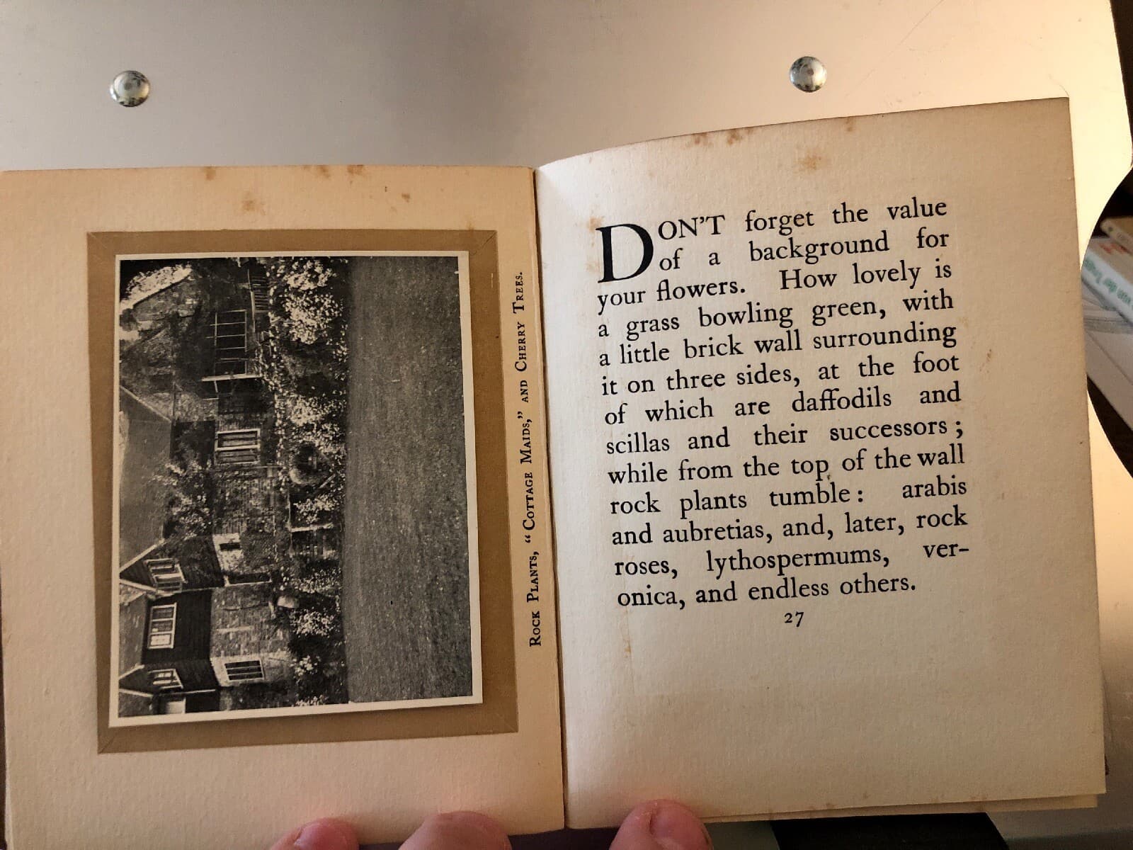 rare GARDENING DON'TS Marrion Chappell 1913 Bickers 17 Photos Hampshire - Thumbnail 7