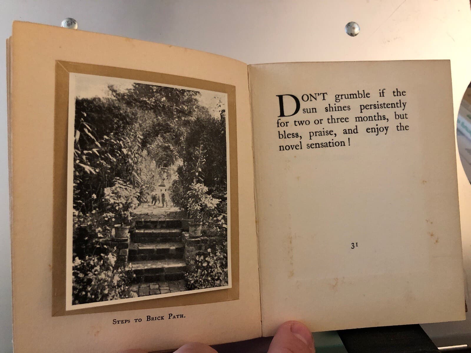 rare GARDENING DON'TS Marrion Chappell 1913 Bickers 17 Photos Hampshire - Thumbnail 8