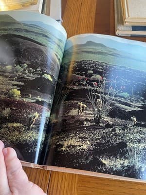 Great American Deserts Rowe Findley 1972 Illustrated National Geographic - Thumbnail 9