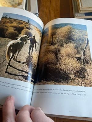 Great American Deserts Rowe Findley 1972 Illustrated National Geographic - Thumbnail 11