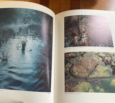 Texas Heartland Hill Country Year Photographs SIGNED by Jim Bones Jr - Thumbnail 5