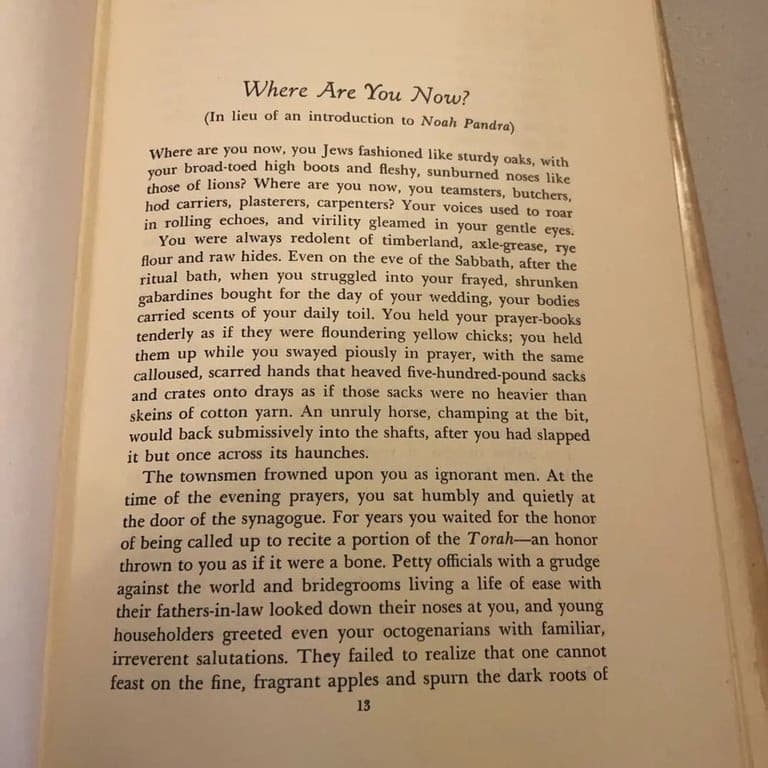 Restless spirit: Selected writings of Zalman Shneour: Shneour - Thumbnail 10