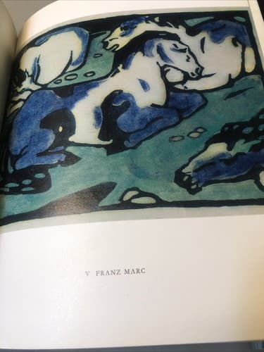 Kristian SOTRIFFER / Expressionism and Fauvism 1st Edition 1972 - Thumbnail 9