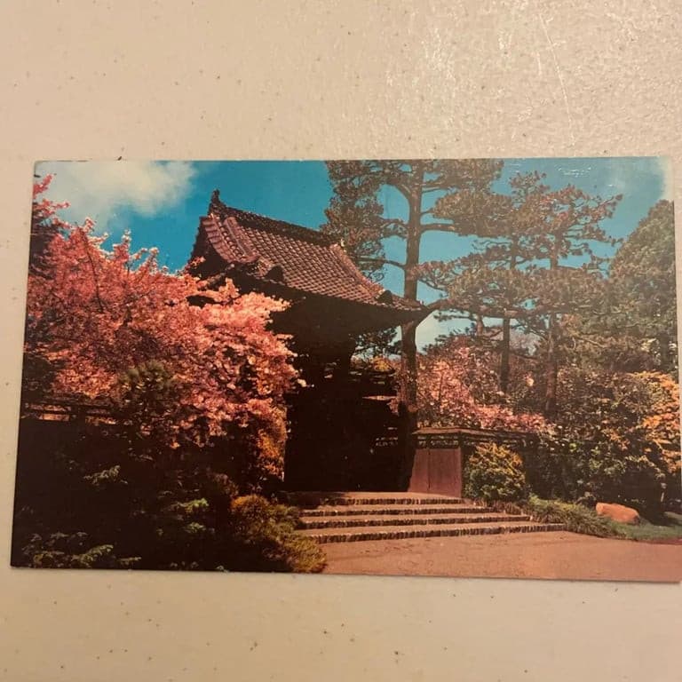 Vintage Oriental Tea Garden San Francisco Postcard - Image 1