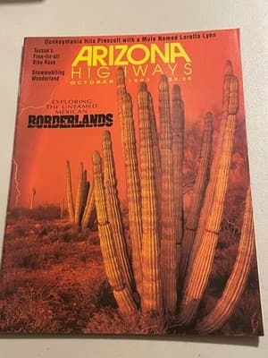 Arizona Highways Magazine Oct 1993 Travel Borderlands Cactus Cover Vintage - Image 1