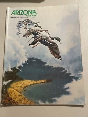 Arizona Highways Magazine Feb 1973 Ducks Cover Vintage Travel Art Scenic Issue - Image 1