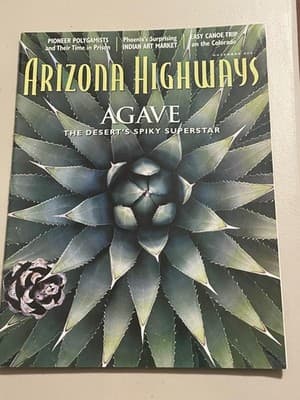 Arizona Highways Magazine Nov 2001 Agave The Desert Spiky Superstar Photography - Image 1