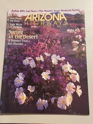 Arizona Highways Magazine March 1999 Spring in the Desert Blooms Cover Travel - Image 1