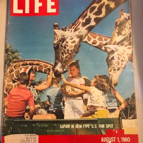 LIFE Magazine August 1, 1960 - Safari Adventure, Cold War widowhood, historical - Image 1