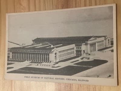 Field Museum Of Natural History Chicago Postcard Black White Unposted Vintage - Image 1