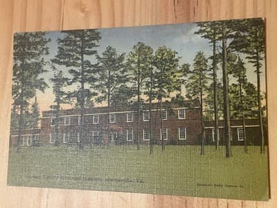 Calvert News Co. Vintage Linen Postcard Building Pines Narrowsville VA 1945 - Image 1