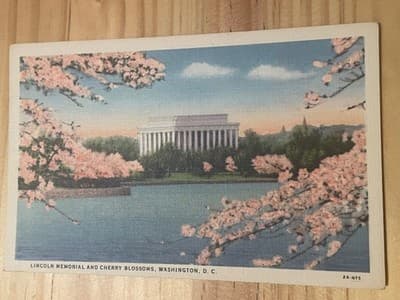 B S Reynolds Scenic Art Vintage Linen Postcard Lincoln Memorial Cherry Blossoms - Image 1