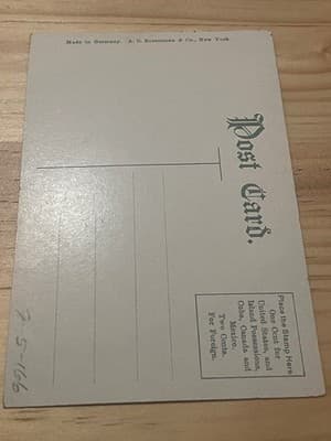 Museum of Natural History Washington DC Postcard Made in Germany Unposted - Thumbnail 2