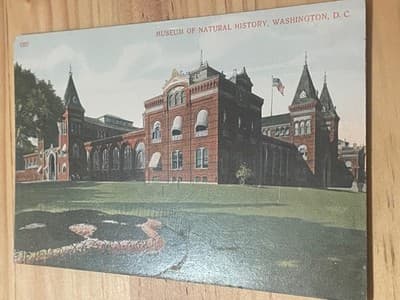 Museum of Natural History Washington DC Postcard Made in Germany Unposted - Image 1