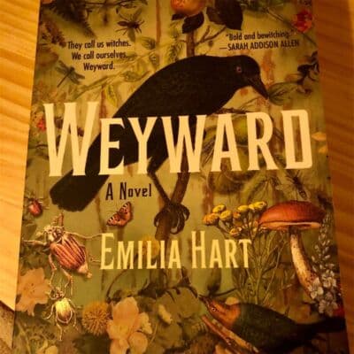 Weyward: A Novel by Emilia Hart Paperback Historical Fiction - Image 1