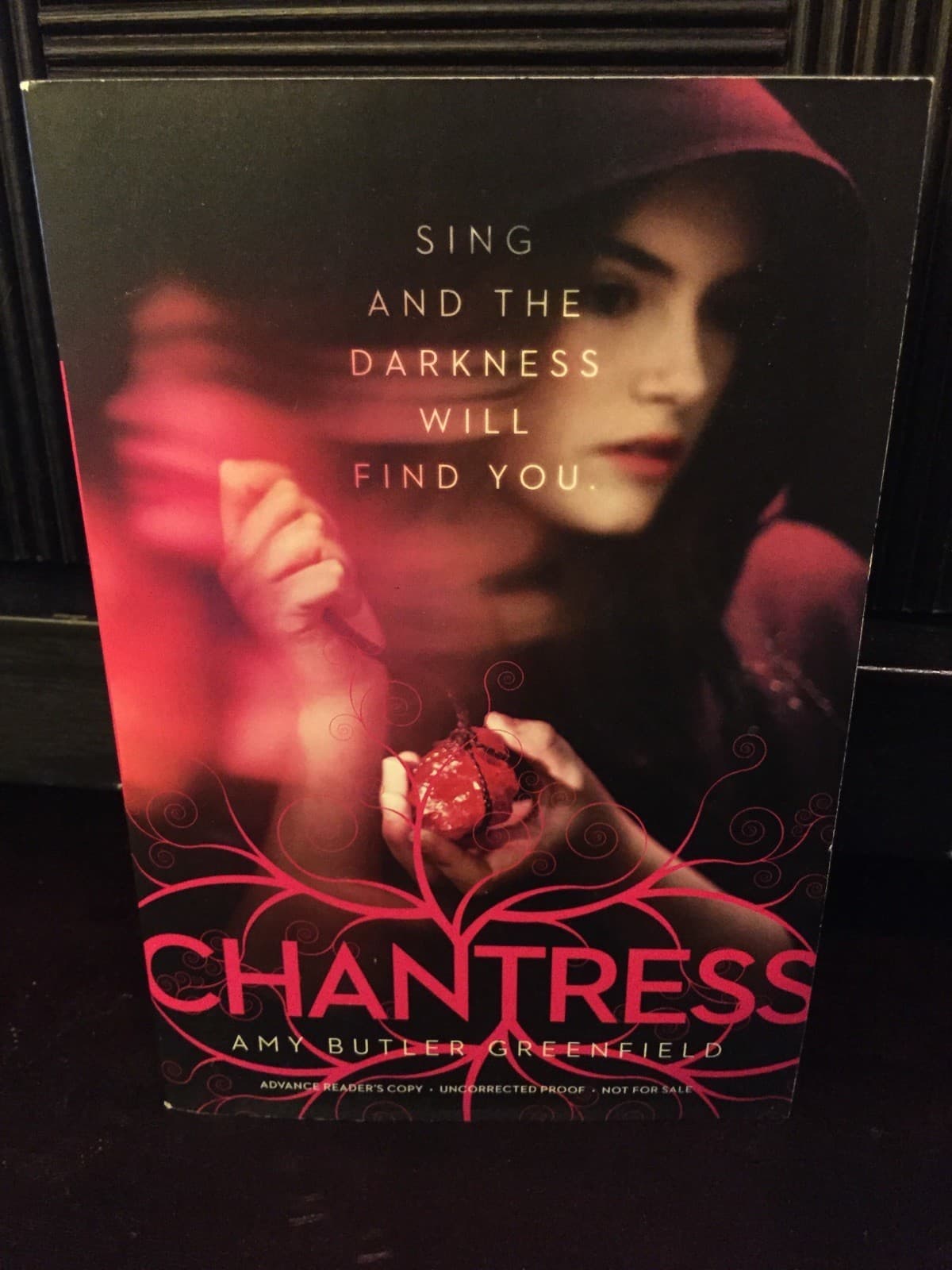 CHANTRESS Sing and the Darkness Will Find You. Amy Butler Greenfield advanced r - Image 1