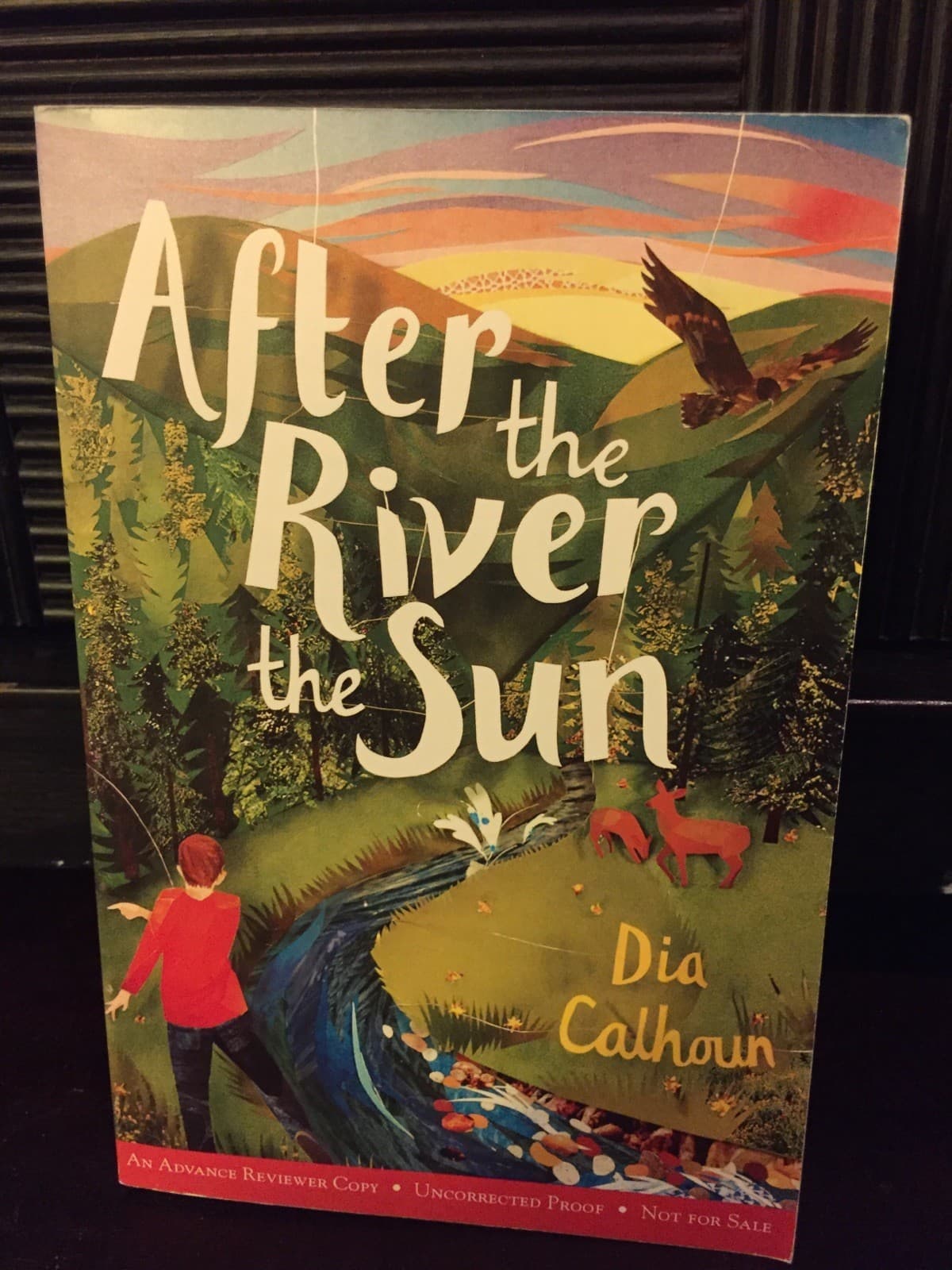 AFTER THE RIVER SUN by dia Calhoun advance review copy - Image 1