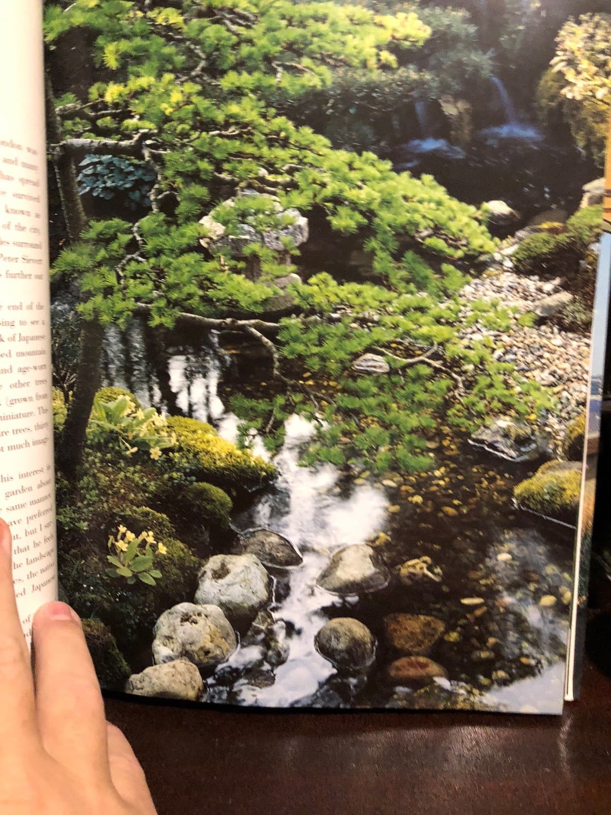 SECRET GARDENS OF LONDON By Marianne Majerus - Hardcover *Excellent Condition* - Thumbnail 7