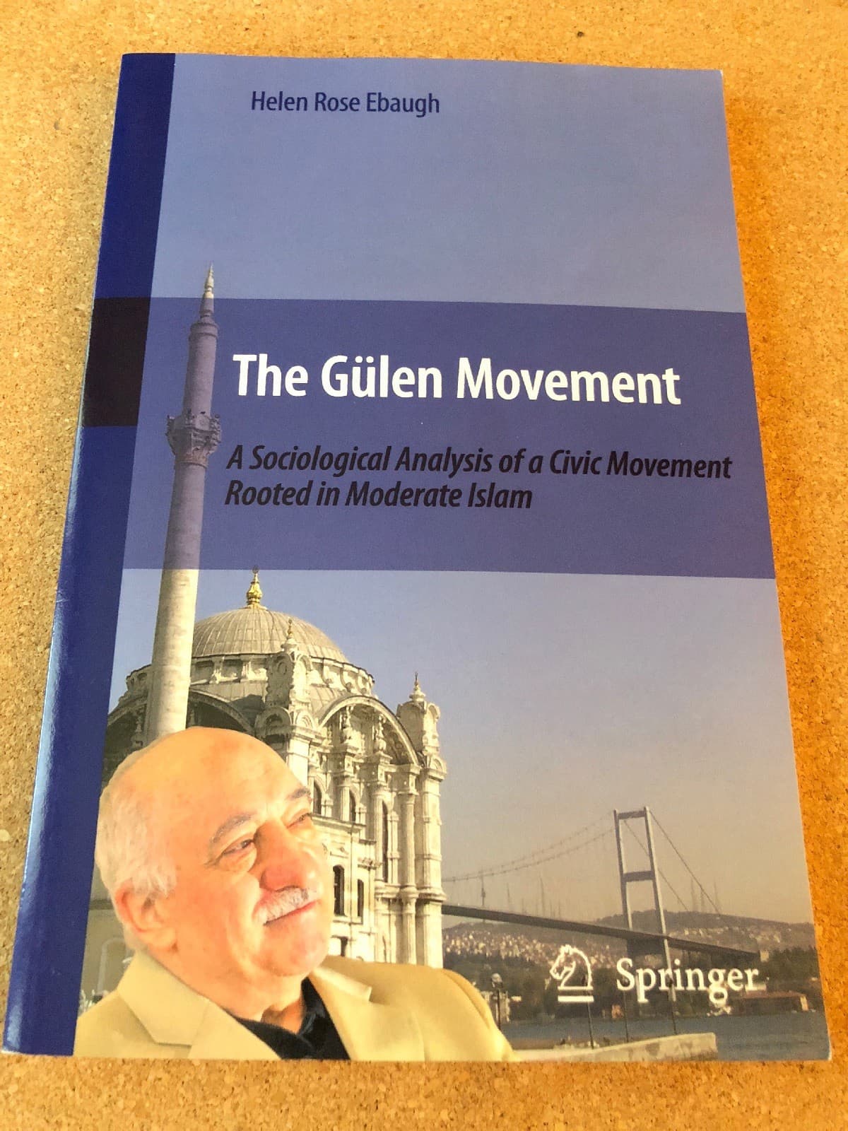 GULEN MOVEMENT: A SOCIOLOGICAL ANALYSIS OF A CIVIC MOVEMENT By Helen Rose Ebaugh - Image 1