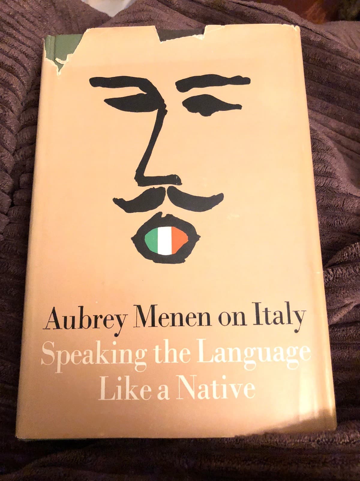Menen, Aubrey SPEAKING THE LANGUAGE LIKE A NATIVE 1st Edition 1st Printing - Image 1