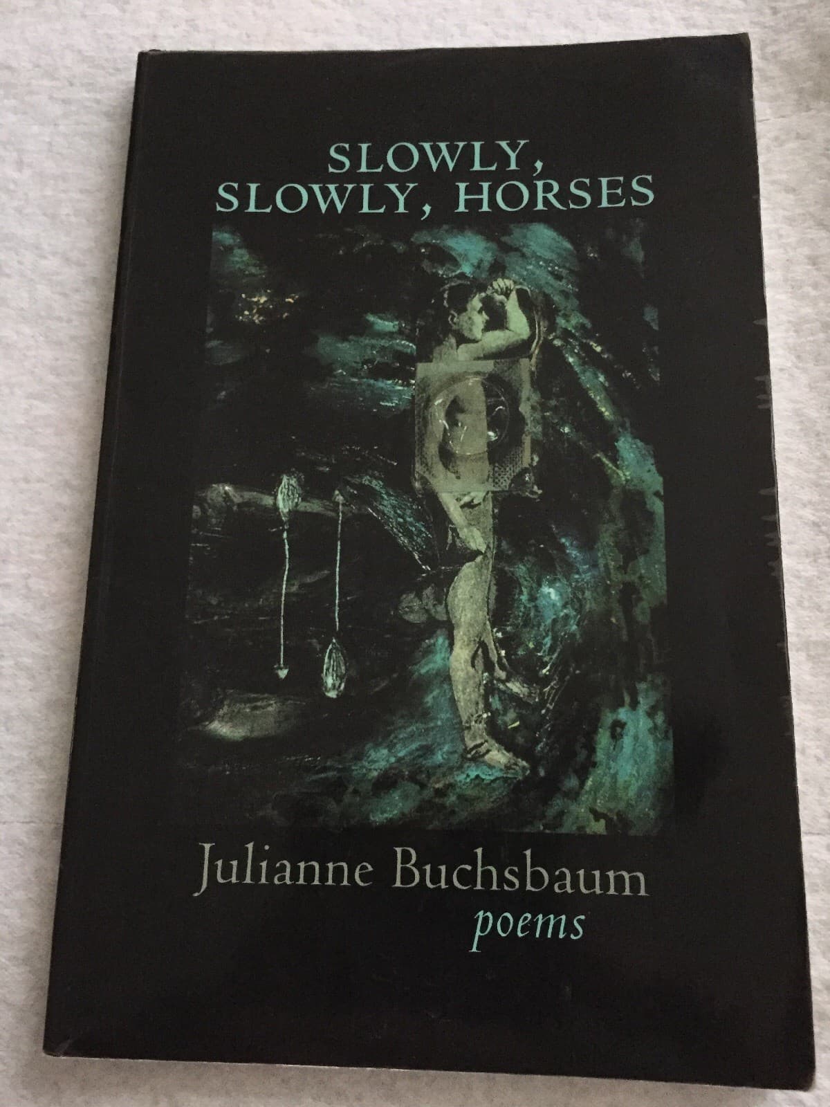 Slowly, Slowly, Horses by Julianne Buchsbaum Paperback Book (English) - Image 1