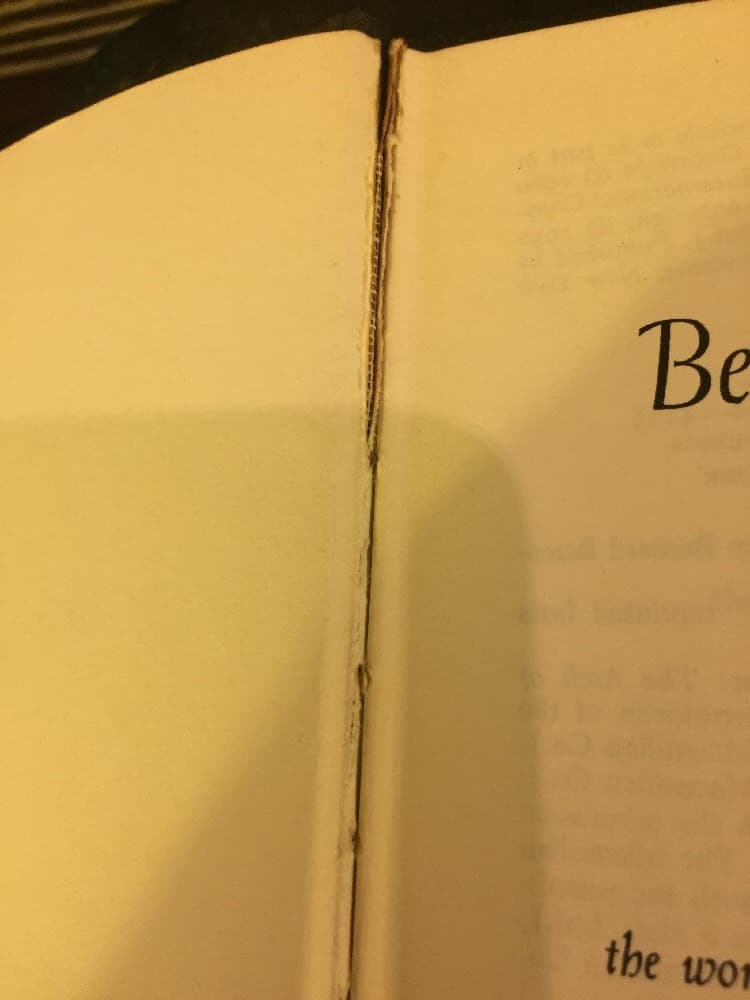 The Bernard BERENSON TREASURY 1962 1st Hardcover w/Jacket Art History - Thumbnail 6