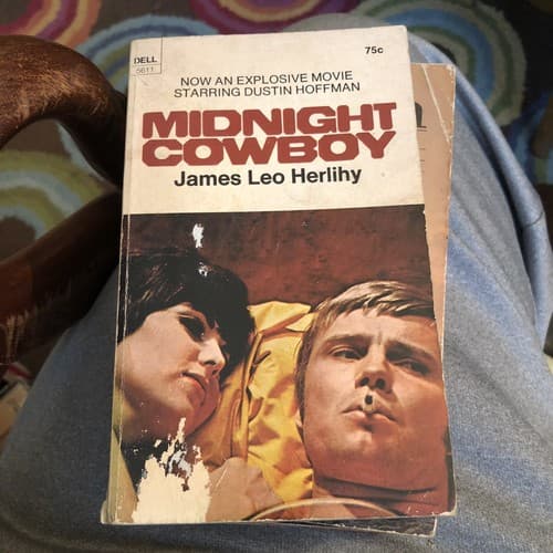 Midnight Cowboy - Image 1